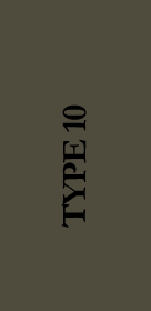Type 10